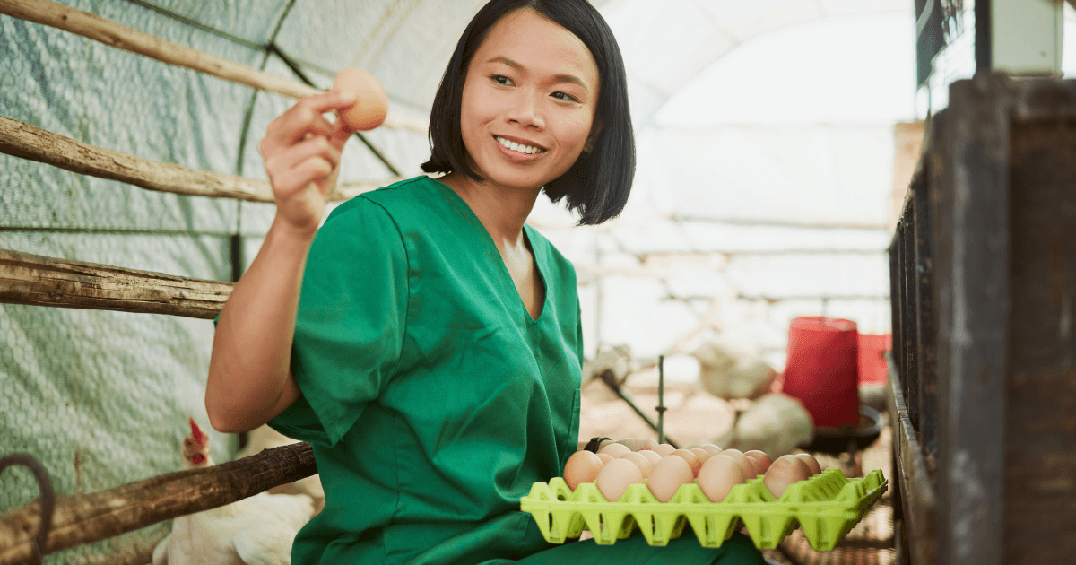 Woman farmer checking a tray of chicken eggs in a countryside coop